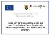 Plakat_EU_RLP_A3_word
